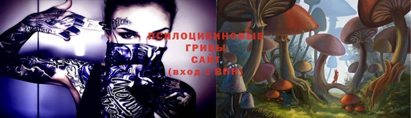ГАЛЛЮЦИНОГЕННЫЕ ГРИБЫ Алексин