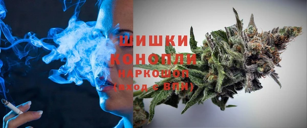 ГАЛЛЮЦИНОГЕННЫЕ ГРИБЫ Алексин