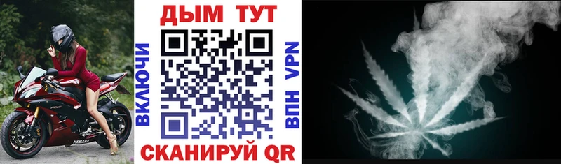 Конопля Bruce Banner  Купить где  Калининец 